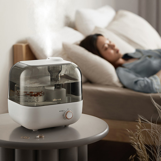 Bear humidifier home bedroom air-conditioned room pregnant women and infants static air all-in-one machine small large fog volume low light sound