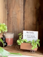 Коробка для чайного пакетика, настольный красивый ins, ретро железный поплавок, ящик для хранения стола, садовый цветочный горшок, цветочный горшок, декоративные украшения