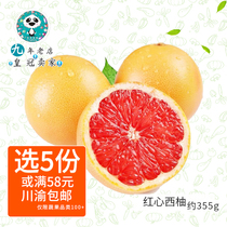 Chengdu Fresh Fruit South Africa West Grapefruit Red Heart West Grapefruit Grapefruit 355g full 5 copies