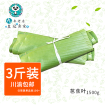 Farmhouse Fresh plantain leaf fragrant banana leaf 1500g loaded 39 9 Motogawa Yu to make two resends 500g