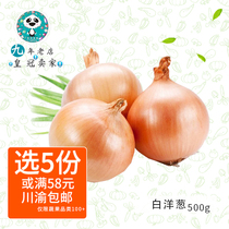 Fresh white onion onion jade green onion with yellow onions 500g parts in full 5 copies