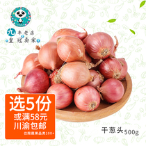 Dry hair shallot red onion red onion with a selection of dried scallion head spices ingredients vegetables a little onion