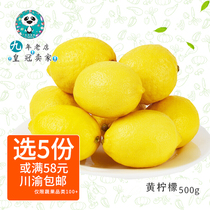 Summer green drinks Sichuan Yuanyue RMB58  An Yue yellow lemon Fresh water Peel thin and juicy milk tea shop 500g