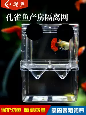 Small fish incubator small fish peacock breeding box Doubt delivery room juvenile fish isolation box guacock Fry isolation breeding