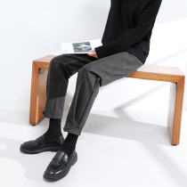 Gray woolen pants womens autumn and winter loose straight tube thin radish casual thickening high waist nine-point workwear Haren pants