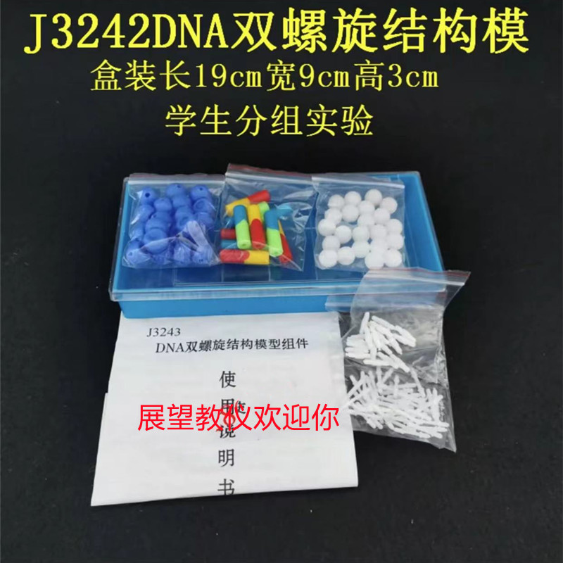 包邮DNA双螺旋结构模型组件J3242 高中生物 实验器材 教学仪器