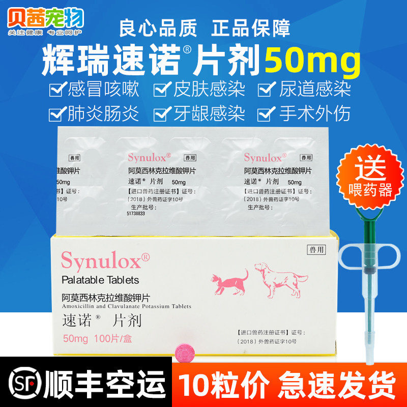 Speed - nanoids 50mg dog cat snub cold medicine Amosilin Kravice cat pet anti - inflammatory