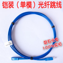  Carrier-grade armored fiber optic jumper SC-SC-FC-FC-LC pigtail 2 3 5 10 meters armored fiber jumper and recycling