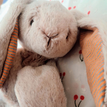 ins original single small rabbit appeasement towel (cut mark) doll doll accessible to sleep theorist soft and small white rabbit