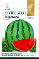 Siye Sajia 8 424 семена 50 зерна оригинала