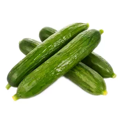 以色列迷你水果小黄瓜种子种籽高产无刺夏季盆栽春秋蔬菜孑春季