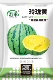 Linglong Yellow-Pulp Seeds Seeds 20 Originals (купить 2 получить 1 бесплатно) очень сладко