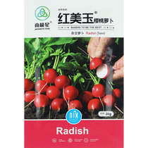 Antarctic star Red beautiful jade cherry radish seed balcony potted seed Four Seasons fruit vegetable seed seed