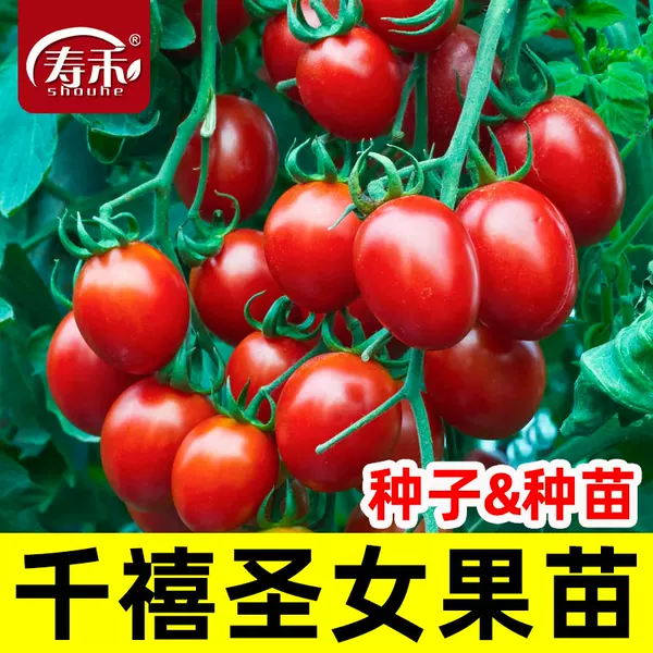 Товары от 寿禾种业[欣欣然公司]