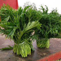 Sherry red vegetable seeds Rapeseed four-season snow vegetables Sherry red vegetable larvae Mustard seeds Autumn and winter seeds seeds vegetable seeds