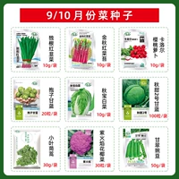 Сентябрь/октябрь