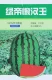 Зеленый император Ленивый король семена арбуза 50 графические оригиналы не ветви и не сражаются 杈