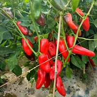 Серебряный