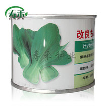 Improved low-footed green cabbage seeds high-yield rapeseed Shanghai small green vegetable seeds Southern seeds rapeseed rapeseed
