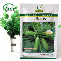 Three Jifeng zucchini seeds early maturing high yield heat-resistant West Hulu virus spring summer and autumn Four Seasons vegetables
