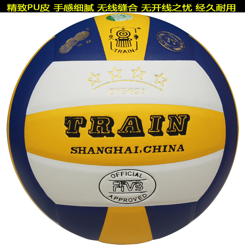 Ballon de volley-ball TRAIN - Ref 2007917 Image 13