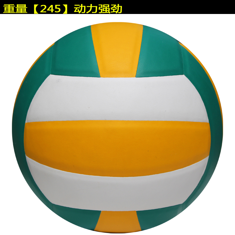 Ballon de volley-ball TRAIN - Ref 2015127 Image 7