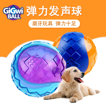 GiGwi expensive for dog toy ball bite-resistant bounce ball interactive Teddy golden hair small large dog voice rubber ball