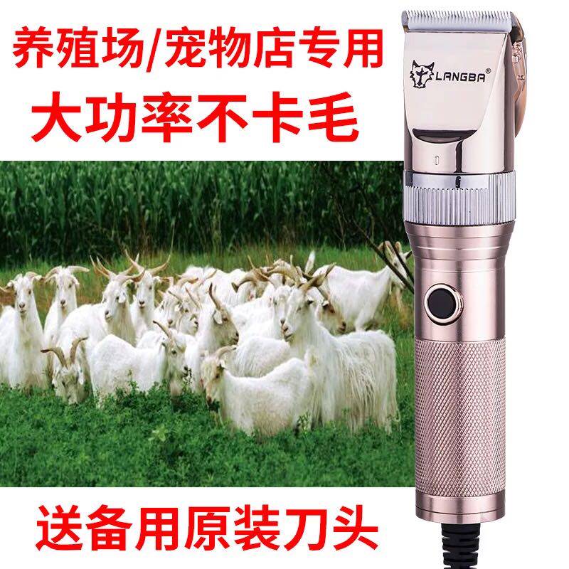 Wolverine Wool Electric Push Scissors Head Suede Goat Electric Pushcut Shave Hair Shave Large Canine Head Wool Cut Pet Pushback