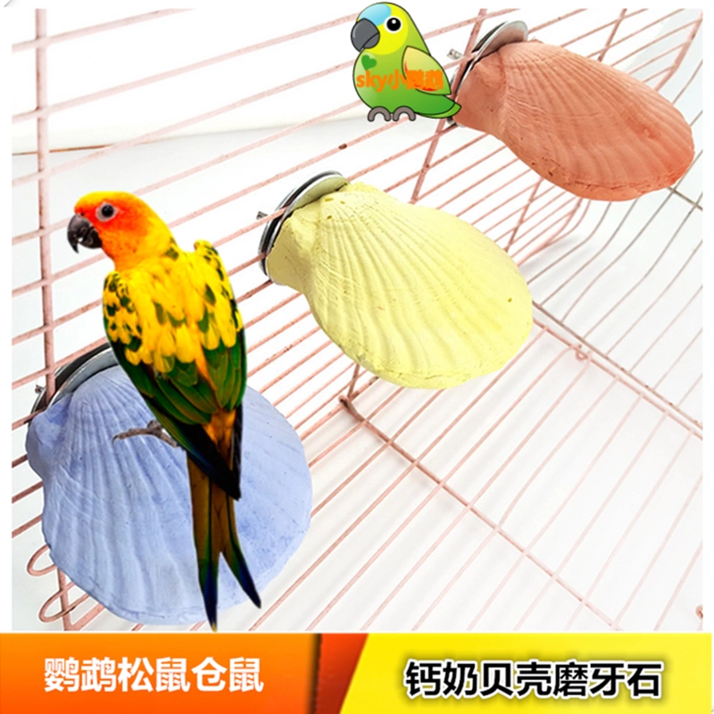 Parrot Đồ chơi Đồ chơi Canxi Sữa Shell Molar Stone Nền tảng Canxi Đá mài Cắn Hamster Pet Bird Lồng đứng - Chim & Chăm sóc chim Supplies