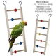 Vẹt đồ chơi khúc gỗ leo thang bậc thang đu cắn thú cưng lồng chim đứng thanh mềm cầu chim cung cấp - Chim & Chăm sóc chim Supplies