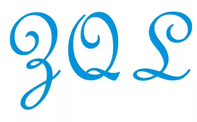 Net VB C# C program DLL cracking debugger modification Reverse Chinese disassembly Decompilation