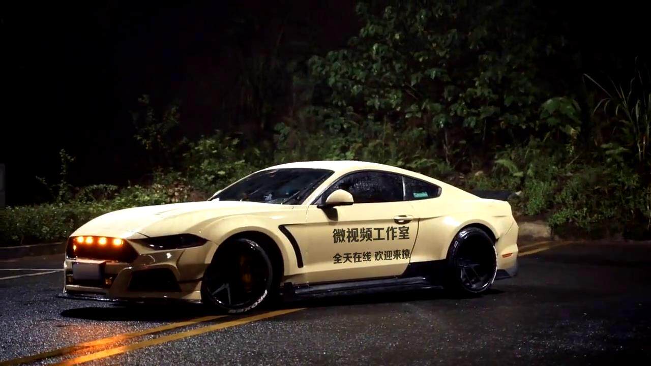 白色野马跑车车身文字