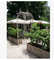 Han Style Flowers Door Arches Eurostyle Door Iron Art Wedding Celebration Arch wedding Prop Wedding items Climbing Cane Gardening