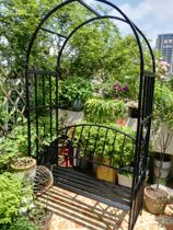 Eurostyle Iron Art Arch Iron Wire Lotus Moon Roses Flowers Climbing Vines Rack Garden Villa Iron Art Flower Racks With Seats
