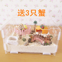 Host Crab Pets Suit New Hands Living full package Desktop Cute Mini Ornamental Climbing and Bag Live