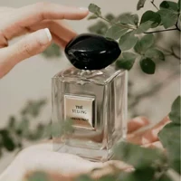 Armani, расширенные модные духи, украшение в форме дракона, чай горный улун, аромат чая, 100 мл