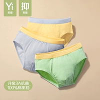 ED181 Rock Lime + Summer Yellow + Apple Green
