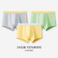 Ed167-Rock Lime + лето желтое + яблоко � � 花白白白 花白白白 花白白白