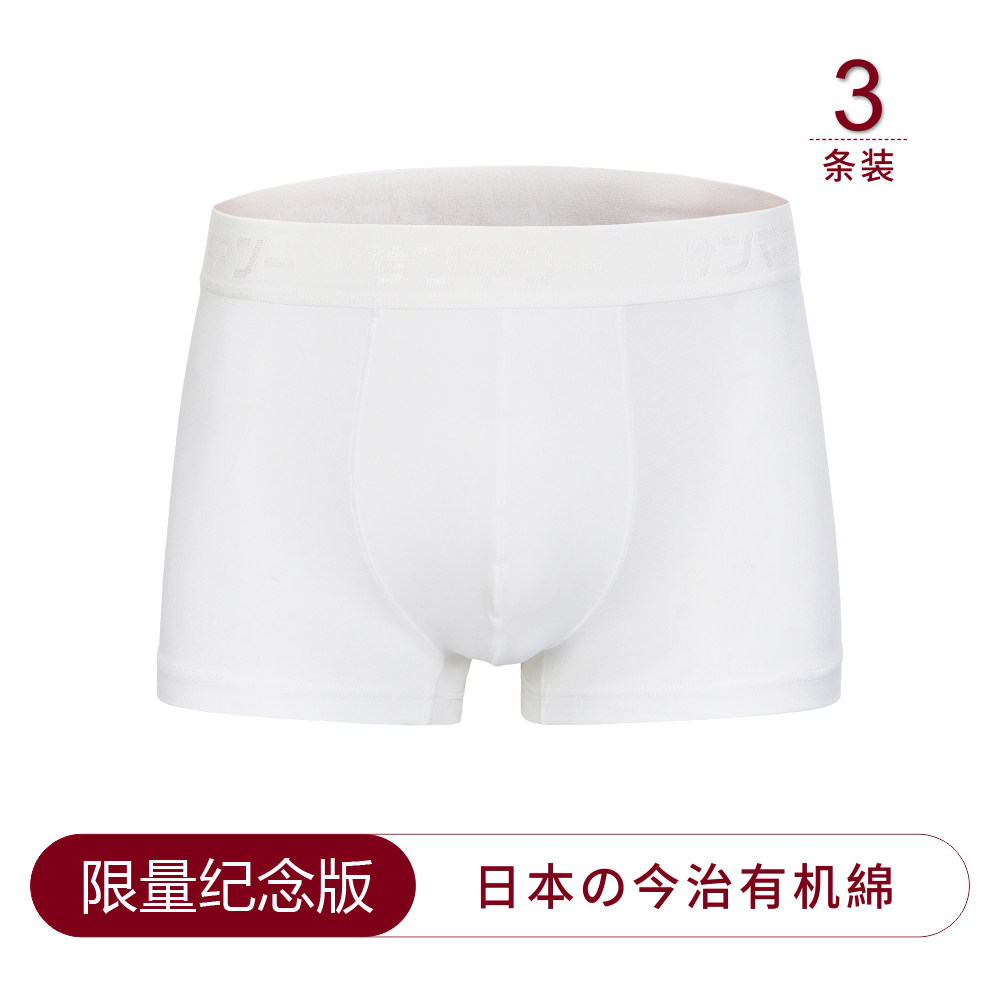 Japanese men's underwear pure cotton ice silk flat angle summer breathable Modal boxer briefs incognito shorts head