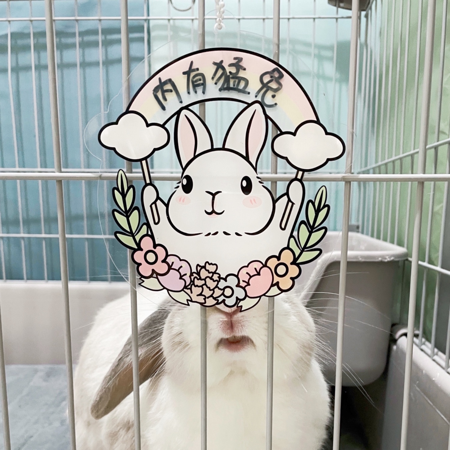 Spot | Rabbit acrylic diy name tag cute cage pendant decoration, send you a little rainbow rabbit tag