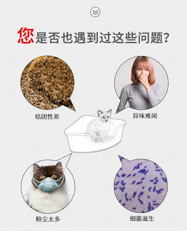 Mèo Xinxin Jiayuan xả rác 10 kg mèo bentonite cát nhóm hấp thụ nước khử mùi mèo kháng khuẩn 20 kg 10kg - Cat / Dog Beauty & Cleaning Supplies lược chải lông chó poodle