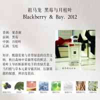 Blackberry и Laurel