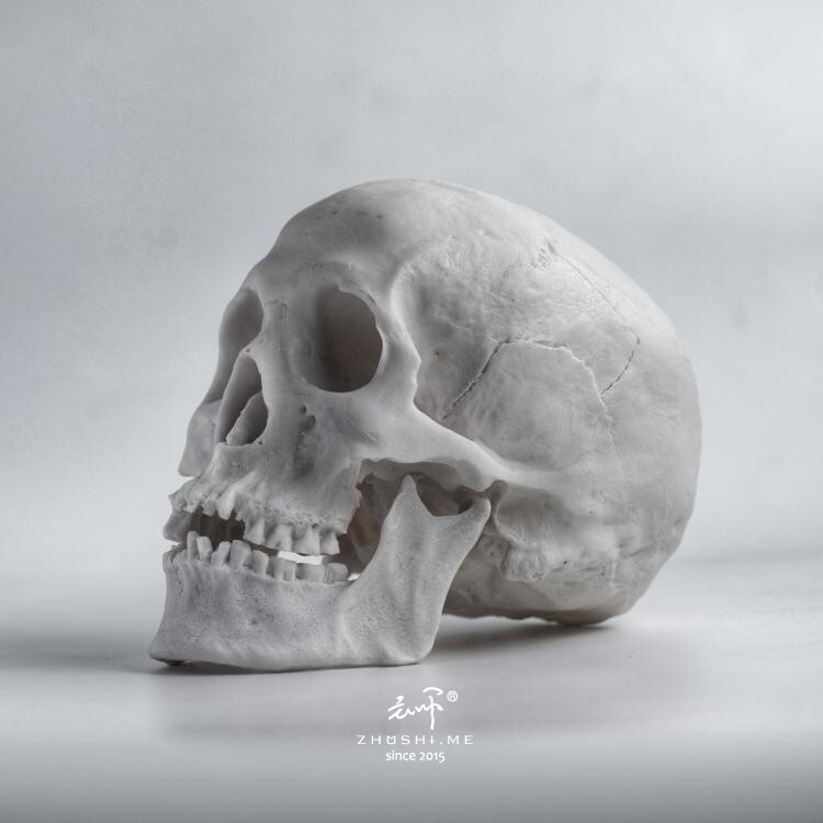 New Master Model 1:1 Realistic Dark Resin Skull Model Art Photography Prop Halloween Decoration