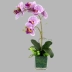 Chất lượng cao Phalaenopsis hoa nhân tạo hoa nhân tạo phòng khách bàn ăn bàn cà phê bình hoa trang trí tủ TV hoa trang trí - TV TV