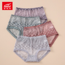 4pcs Funny Mid Waist Underwear Women Comfortable Transparent Mesh Seamless Cotton Padded Boxers 13046