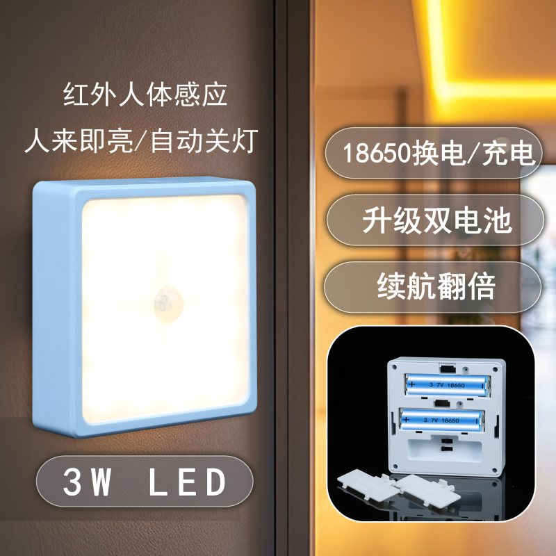 Ruilisi 18650 Dual-Battery Replaceable Human Body Sensor Night Light 3W Dual-Color Led for Entryway, Wardrobe, Hallway