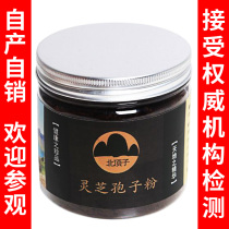 North Top Son Lingzhi Spore Poudre 100 gr auto-produite et vendue seulement en un seul magasin pour Taobao