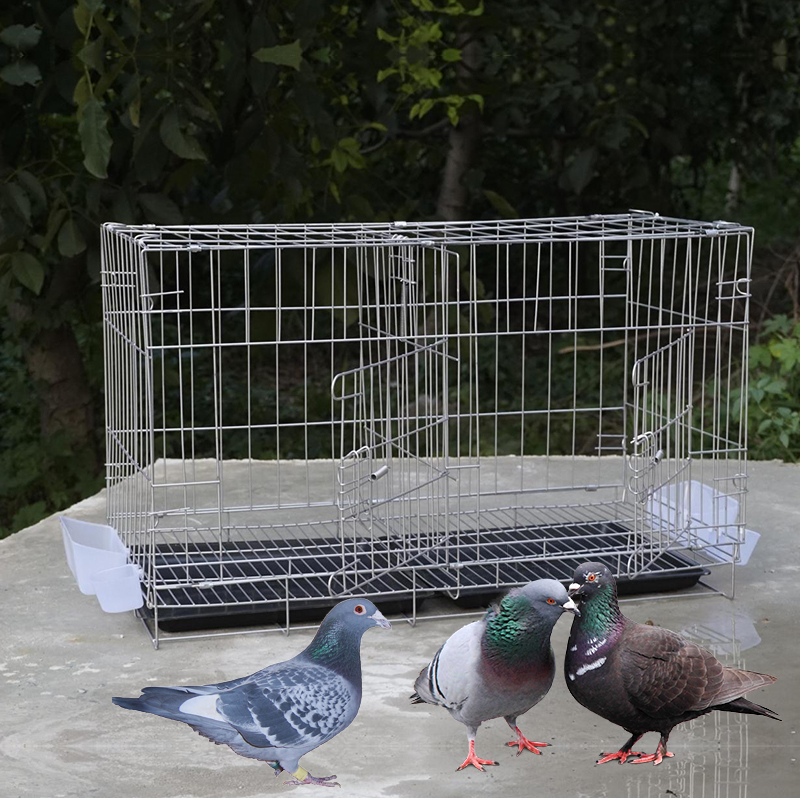 Extra large pigeon cage breeding cage pigeon pair cage stainless steel color household pigeon