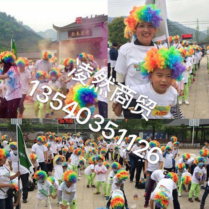 Perruque - Ref 2612791 Image 13