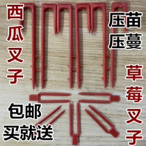 Watermelon strawberry melon seedling press tendrils press tendrils root crush Miao fork Vine Plant Fixer 1 catty